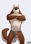  balls canid canine canis clothing crossed crossed_arms domestic_dog erection invalid_tag jock jockstrap looking_at_viewer m_solo male male/male mammal misterstallion muscular penis pinup pose solo straps underwear wolf 