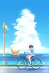  1girl absurdres blue_hair blue_shirt cat cloud colored_inner_hair commentary english_commentary highres looking_to_the_side multicolored_hair ocean original pink_shorts riding_bicycle scenery shirt shoes shorts sign sky sneakers solo tama_gotoh white_shirt yoruny 