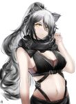  1girl absurdres aburaage_here animal_ears arknights bangs bare_arms bare_shoulders black_scarf breasts cat_ears cleavage commentary crop_top hand_up highres long_hair looking_at_viewer medium_breasts midriff navel ponytail scarf schwarz_(arknights) silver_hair simple_background sleeveless solo stomach upper_body white_background yellow_eyes 