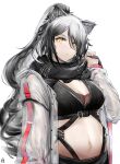  1girl absurdres aburaage_here animal_ears arknights bangs black_scarf breasts cat_ears cleavage commentary crop_top hand_up highres jacket long_hair long_sleeves looking_at_viewer medium_breasts midriff navel open_clothes open_jacket ponytail scarf schwarz_(arknights) silver_hair simple_background solo stomach upper_body white_background white_jacket yellow_eyes 