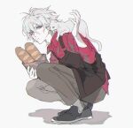  1boy apron baguette black_apron black_footwear blue_eyes bread brown_pants cat closed_mouth colored_skin ebanoniwa fate/grand_order fate_(series) food full_body grey_hair hand_up holding karna_(fate) male_focus pants red_shirt shirt shoes simple_background solo squatting white_background white_skin 