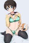  1girl absurdres black_hair black_legwear blue_eyes blush bra breasts chihuahua chikuwa_(yurucamp) cleavage closed_mouth clothes_lift collarbone dog eggman_(pixiv28975023) eyebrows_visible_through_hair green_bra green_panties groin highres lifted_by_self lingerie looking_at_viewer medium_breasts navel necktie panties saitou_ena school_uniform shiny shiny_hair shirt_lift short_hair simple_background smile thighhighs underwear white_background yurucamp 