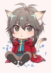  1boy :&lt; absurdres animal_ear_fluff animal_ears antenna_hair bangs belt black_belt black_footwear blue_shirt blush boots brown_hair brown_pants cat_boy cat_ears cat_tail cheshire_(ragnarok_online) chibi cloak closed_mouth commentary_request eyebrows_visible_through_hair full_body grey_eyes hair_between_eyes highres long_sleeves looking_at_viewer male_focus manoji medium_hair pants ragnarok_online red_cloak shirt simple_background solo sparkling_eyes tail v-shaped_eyebrows white_background 