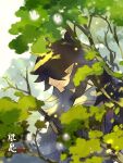  1boy branch fengxi_(the_legend_of_luoxiaohei) hair_over_eyes highres leaf long_hair male_focus plant pointy_ears profile smile solo the_legend_of_luo_xiaohei tree upper_body yunomoto 