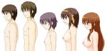  3girls akatuki_(yamina) asahina_mikuru breasts brown_hair bust_chart glasses koizumi_itsuki kyon large_breasts lineup medium_breasts multiple_boys multiple_girls nagato_yuki nipples nude profile short_hair small_breasts suzumiya_haruhi suzumiya_haruhi_no_yuuutsu 