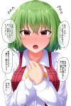  1girl ascot bangs blush breasts collarbone collared_shirt commentary eyebrows_visible_through_hair flying_sweatdrops fusu_(a95101221) green_hair hair_between_eyes hands_on_own_chest highres kazami_yuuka large_breasts long_sleeves nose_blush open_clothes open_mouth open_vest plaid plaid_vest red_eyes red_vest shirt short_hair simple_background solo speech_bubble tearing_up tears touhou translated upper_body vest wavy_hair white_background white_shirt yellow_ascot 