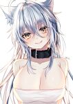  1girl ahoge animal_ears bare_shoulders blush breasts brown_eyes cleavage closed_mouth collar collarbone eyebrows_visible_through_hair fang fang_out hakusai_ponzu large_breasts lips long_hair looking_at_viewer original silver_hair simple_background smile strapless tube_top upper_body white_background wolf_ears wolf_girl 
