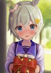  1girl animal_ears bangs blue_eyes blue_shirt blurry blurry_background bow box commentary_request depth_of_field eyebrows_visible_through_hair flower gift gift_box grey_hair hair_between_eyes hair_flower hair_ornament hairclip highres holding holding_gift horse_ears long_sleeves looking_at_viewer masshirokachi parted_lips school_uniform seiun_sky_(umamusume) shirt short_hair solo star_(symbol) star_print tracen_school_uniform umamusume upper_body wavy_mouth white_bow yellow_flower 