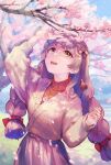 1girl arm_up bangs braid branch breasts brown_hair brown_robe cherry_blossoms commentary_request dappled_sunlight day flower hair_ornament hand_up hatomugi_seika highres long_sleeves looking_away looking_up open_mouth original petals pink_flower red_sweater ribbed_sweater robe small_breasts smile solo sunlight sweater teeth tree twin_braids upper_body 
