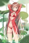 1girl absurdres ahoge arms_behind_head arms_up bikini breasts brown_eyes brown_hair friend_(nanashi_mumei) heart heart_print heart_ring heart_ring_swimsuit highres hololive hololive_english long_hair looking_at_viewer nanashi_mumei navel oversized_plant red_bikini see-through small_breasts standing sugiru swimsuit thigh_strap very_long_hair virtual_youtuber wading wet 