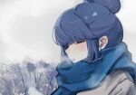  1girl blue_hair blush breath closed_eyes cold commentary_request hair_bun leadin_the_sky open_mouth outdoors scarf shima_rin solo yurucamp 