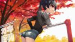  1girl ass autumn black_hair breasts closed_mouth commentary_request grey_shorts highres kaedeko_(kaedelic) large_breasts long_sleeves looking_away looking_to_the_side oppai_loli original red_eyes saki_sasaki_(kaedeko) shirt short_hair shorts solo thighs tree twintails white_shirt 