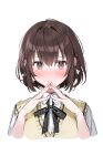  1girl absurdres bangs blush bow bowtie brown_eyes brown_hair closed_mouth collared_shirt commentary_request eyebrows_visible_through_hair hands_up highres looking_at_viewer original own_hands_together school_uniform shirt short_hair short_sleeves sidelocks solo upper_body white_background xretakex 