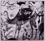  arab camel persian tagme 