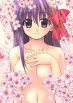  artist_request breasts cherry_blossoms fate/stay_night fate_(series) long_hair lowres matou_sakura nude object_namesake solo 