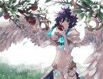  1boy angel_wings apple bangs blue_eyes blue_hair braid branch commentary_request detached_sleeves eating feathered_wings flower food fruit genshin_impact gold_bracelet gold_trim grass headwear_removed highres hood hood_down leaf lily_(flower) looking_at_viewer male_focus multicolored_hair navel otoko_no_ko short_shorts shorts shuka_(aobane1022) stomach twin_braids two-tone_hair upper_body venti_(genshin_impact) vision_(genshin_impact) white_shorts wings 