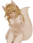  1girl ahoge animal_ears blonde_hair blush breasts brown_eyes collarbone dog_ears dog_tail eyebrows_visible_through_hair furry furry_female hawthorn highres kirisame_marisa long_hair looking_at_viewer navel nipples no_bra open_mouth panties shiny shiny_hair simple_background small_breasts smile solo standing tail topless touhou underwear whiskers white_background white_panties 