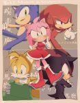  1girl 4boys amy_rose blue_eyes blush body_fur boots crossed_arms dress furry furry_female furry_male gloves green_eyes knuckles_the_echidna multiple_boys musical_note purple_eyes red_dress red_eyes red_footwear running shadow_the_hedgehog smile sonic_(series) sonic_the_hedgehog tails_(sonic) thinking tondamanuke translation_request white_gloves 