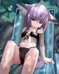  1girl animal_ear_fluff animal_ears arknights bikini black_bikini blue_eyes breasts brown_hair cameltoe fox_ears fox_tail highres knees_up legs looking_at_viewer navel official_alternate_costume preamy_kyuushi short_hair small_breasts solo sussurro_(arknights) sussurro_(summer_flowers)_(arknights) swimsuit tail thighs 