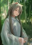  1girl animal_ears bamboo bamboo_forest bangs blurry blurry_background cat_ears depth_of_field fkey forest green_background grey_hair hair_between_eyes highres japanese_clothes kimono long_hair long_sleeves nature original outdoors parted_lips pink_eyes sleeves_past_wrists solo upper_body white_kimono 