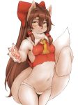  1girl animal_ears armpit_peek bare_shoulders blush body_fur bow breasts brown_eyes brown_hair closed_mouth commentary_request dog_ears dog_tail furrification furry furry_female hair_bow hair_tubes hakurei_reimu hawthorn highres japanese_clothes long_hair looking_at_viewer miko navel no_bra panties shiny shiny_hair simple_background small_breasts solo standing tail touhou underwear white_background white_panties 