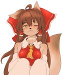  1girl ahoge animal_ears bare_shoulders blush body_fur bow breasts brown_eyes brown_hair closed_mouth dog_ears dog_girl dog_tail furrification furry furry_female hair_bow hair_ornament hair_tubes hakurei_reimu hawthorn highres japanese_clothes long_hair looking_at_viewer miko one_eye_closed shiny shiny_hair simple_background small_breasts solo tail touhou upper_body white_background 