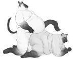 anal anal_penetration anthro black_and_white cettus domestic_cat duo felid feline felis huge_belly huge_thighs karras_lafontaine male male/male mammal monochrome morbidly_obese morbidly_obese_anthro obese obese_anthro overweight overweight_anthro penetration sex siamese smile thick_thighs