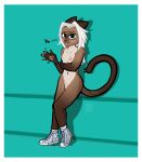 2023 anthro big_eyes blush bodily_fluids breasts clothed clothed/nude clothing converse_shoes digital_media_(artwork) domestic_cat erect_nipples eve_(verycutecat) eyebrows felid feline felis female flat_colors fluffy fluffy_tail footwear fur genitals hair hi_res leaning looking_at_viewer makeup mammal mascara nipples nude open_mouth pussy siamese simple_background small_waist smile socks solo standing sweat sweatdrop tail tan_body tan_fur thick_eyebrows verycutecat white_hair