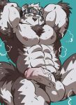  1boy abs ainu_clothes animal_ears arms_behind_head bara breath chest_hair come_hither completely_nude erection foreskin furry furry_male grey_fur grey_hair headband highres horkeu_kamui kirupi large_pectorals large_penis looking_at_viewer male_focus male_pubic_hair muscular muscular_male navel navel_hair nipples nude one_eye_closed pectorals penis precum presenting pubic_hair seductive_smile short_hair silver_hair smile solo spread_legs stomach tail thick_thighs thighs tokyo_afterschool_summoners two-tone_fur uncensored veins veiny_penis white_fur wolf_boy wolf_ears wolf_tail yellow_eyes 