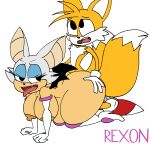 age_difference anthro bat big_breasts big_butt breasts butt canid canine doggystyle duo female fox from_behind_position hi_res male male/female mammal miles_prower older_female rexon02 rouge_the_bat sega sex sonic_the_hedgehog_(series) tongue tongue_out younger_male