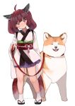 1girl ahoge brown_eyes brown_hair closed_mouth commentary_request dog double-parted_bangs full_body half-closed_eyes head_tilt highres holding holding_leash leash light_smile long_hair long_sleeves looking_at_viewer obi petite pigeon-toed sash shiba_inu simple_background solo standing touhoku_kiritan twintails uchisaki_himari voiceroid white_background wide_sleeves 