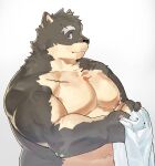 anthro belly blue_eyes canid canine canis clothed clothing domestic_dog eyebrows fur gao_53937056 grey_body grey_fur hi_res lifewonders male mammal moritaka musclegut navel nipples pecs scar solo thick_eyebrows tokyo_afterschool_summoners topless