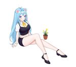  1girl :3 animal_ears bear_ears belt black_footwear black_shorts black_vest blue_eyes blue_hair blush commentary english_commentary flower highres indie_virtual_youtuber long_hair looking_at_viewer midriff navel neck_ribbon niamocha plant potted_plant ribbon shirt shoes short_sleeves shorts simple_background sitting siun smile solo vest white_background white_belt white_shirt wristband yellow_flower yellow_ribbon 