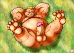 anthro anus balls digital_media_(artwork) erect_nipples erection geld_(that_time_i_got_reincarnated_as_a_slime) genitals hi_res laying_on_grass male mammal moobs nipples nude overweight overweight_male penis red_panda_mirr solo solo_focus spread_legs spreading suid suina sus_(pig) that_time_i_got_reincarnated_as_a_slime wild_boar