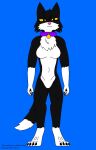 bell bell_collar black_and_white_fur black_body black_claws black_pawpads blue_background breasts chest_tuft claws collar collar_only digital_drawing_(artwork) digital_media_(artwork) domestic_cat felid feline felis female hi_res ibispaintx looking_at_viewer mammal medium_breasts nude pawpads pink_nose purple_collar shelby_(todo_the_fox) simple_background solo tail todo_the_fox tuft tuxedo_cat white_body yellow_eyes