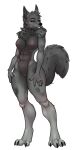 a_man_in_a_beasts_world abs anthro black_sclera breasts canid canine canis chest_tuft digitigrade female fluffy fur genitals green_eyes grey_body grey_fur hands_on_legs hands_on_thighs hi_res inverted_nipples looking_at_viewer mammal nipples nude pussy scar simple_background smile solo spottedp_anda0046 tuft white_background wolf yuki_snow