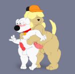 absurd_res animal_genitalia animal_penis anthro balls blush brian_griffin canid canine canine_genitalia canine_penis canis chris_griffin_(dog_universe) clothing collar domestic_dog duo erection family_guy fuzefurry genitals groping_from_behind hair hair_over_eye hat headgear headwear hi_res knot male male/male mammal one_eye_obstructed overweight overweight_male penis