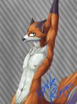 black_nose canid canine canis embarrassed erik_rouges_(artist) erik_rouges_(character) fox fur green_eyes hi_res male mammal muscular nipples nude orange_body orange_fur simple_background solo stretching_arms watermark white_body white_fur