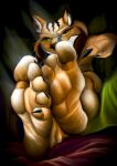 5_toes absurd_res anthro claws feet felid feline finger_claws foot_fetish foot_focus gisaku hi_res linceto lynx mammal mroleoso plantigrade toes