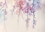  branch flower highres no_humans original painting_(medium) pink_theme plant plant_focus still_life toyonaga_ryouhei traditional_media watercolor_(medium) white_background 