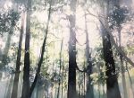  forest grass highres light_rays nature no_humans original painting_(medium) plant scenery shadow sky_focus sunlight toyonaga_ryouhei traditional_media tree watercolor_(medium) 