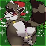  anus balls butt candy candy_cane candy_cane_in_mouth christmas christmas_clothing christmas_headwear clothing dessert food genitals hat headgear headwear hi_res holidays looking_back male mammal mistletoe_on_tail penis procyonid raccoon santa_hat solo thesugarcoon thesugarcoon_(character) 