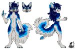  2023 absurd_res ambiguous_gender anthro big_ears big_tail biped blue_body blue_eyes blue_fur blue_hair canid canine canis codestrike curled curled_tail domestic_dog feminine fennec_fox fluffy fluffy_tail fox fur hair hi_res husky hybrid long_hair long_tail looking_at_viewer mammal model_sheet nordic_sled_dog paws pose simple_background solo spitz strike tail true_fox white_background 