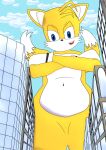  absurd_res anthro building canid canine city fur hi_res looming macro male mammal miles_prower sega solo sonic_the_hedgehog_(series) zerosonicdrive 
