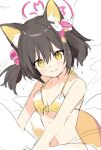  1girl animal_ear_fluff animal_ears bangs bikini black_hair blue_archive blush breasts eyebrows_visible_through_hair fang fox_ears fox_hair_ornament fox_tail hair_between_eyes hair_ornament halo highres izuna_(blue_archive) sakuramon sketch skin_fang small_breasts smile solo sweat swimsuit tail upper_body yellow_eyes ymm007xx 