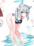  1girl animal_ear_fluff animal_ears bent_over black_one-piece_swimsuit blue_archive blue_eyes blue_one-piece_swimsuit breasts commentary_request competition_swimsuit grey_hair halo highres long_hair looking_at_viewer medium_breasts official_alternate_costume one-piece_swimsuit partially_submerged shiroko_(blue_archive) shiroko_(swimsuit)_(blue_archive) shizakiya solo standing swimsuit twintails two-tone_one-piece_swimsuit wolf_ears 