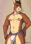  aaron_pictus anthro areola asinus bedroom_eyes big_bulge biped brown_body brown_fur brown_hair bulge casual_clothing clothed clothing donkey equid equine eyebrows fur hair hi_res jockstrap jockstrap_only male male_anthro mammal muscular muscular_anthro muscular_male narrowed_eyes navel nipples pecs pinup pose seductive smile solo tan_body tan_fur teal_eyes topless topless_anthro topless_male underwear underwear_only 