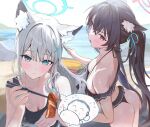  2girls animal_ear_fluff animal_ears aqua_ribbon ass bare_shoulders beach bikini black_bikini blue_archive blue_eyes blue_halo blush breasts bright_pupils cat_ears chopsticks cleavage collarbone commentary_request corn cross_hair_ornament doodle_sensei_(blue_archive) food hair_ornament hair_ribbon halo houraku large_breasts mismatched_pupils multiple_girls open_mouth outdoors parted_lips pink_halo red_eyes ribbon sensei_(blue_archive) serika_(blue_archive) serika_(swimsuit)_(blue_archive) shiroko_(blue_archive) shiroko_(swimsuit)_(blue_archive) swimsuit white_pupils 