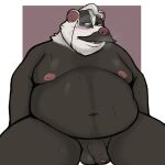  2024 alex_badger anthro badger balls belly big_belly black_body eyewear facial_hair genitals hi_res male mammal monocle moobs mustache mustelid musteline navel nipples overweight overweight_male penis rivals_of_aether simple_background solo white_body 