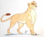  ambiguous_gender crossgender felid female feral hi_res laligress lion mammal mtf_crossgender neck_tuft pantherine paws solo trans_(lore) tuft 